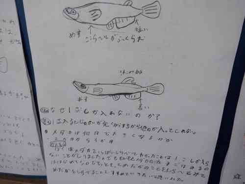 DSCF8944