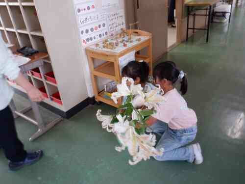 DSCF0936