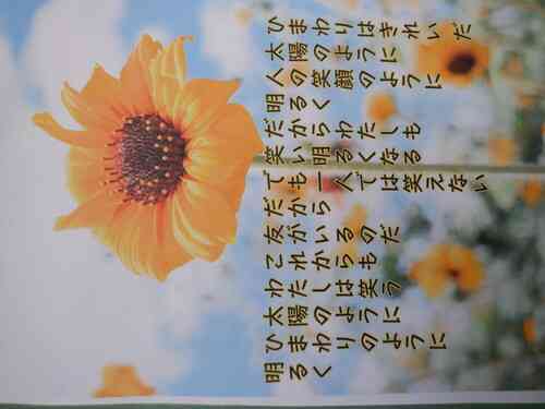 DSCF1851 (1)